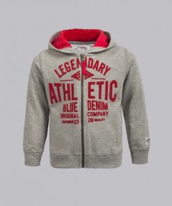 Baby boys hoodie grey
